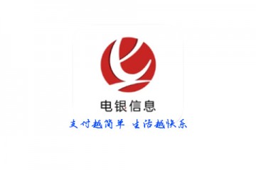 电银支付